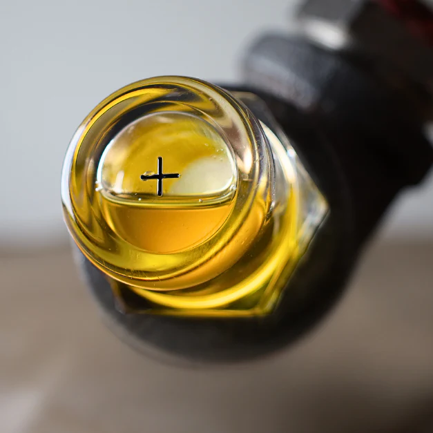 Close-up of an oil sight glass with a clear level reference from the LubeServ catalogue